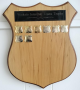 The Waikato Club Teams Trophy